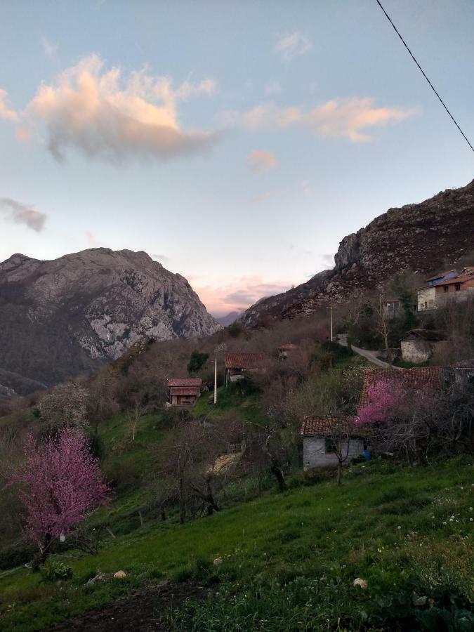 El Llagar Villa Vista  Exteriör bild